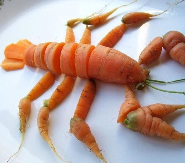 Морковка-рак